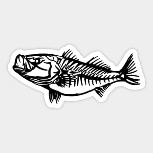 Bone Striped Bass Sticker